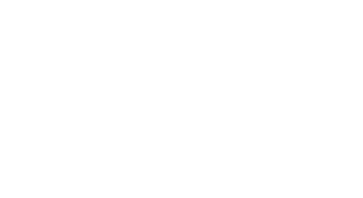 Bridel Boligservice